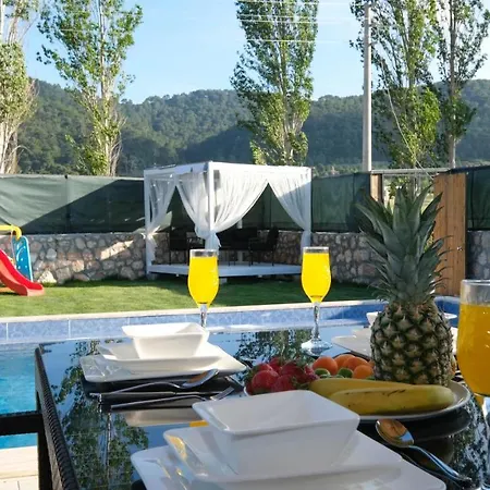 Villakasgel Sarıbelen
